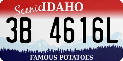 ID license plate 3B4616L