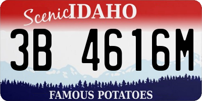 ID license plate 3B4616M
