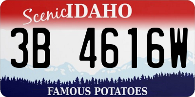 ID license plate 3B4616W