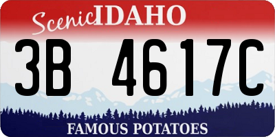 ID license plate 3B4617C