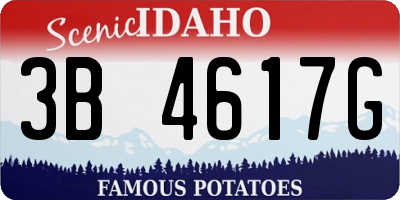 ID license plate 3B4617G