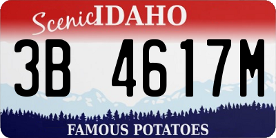 ID license plate 3B4617M