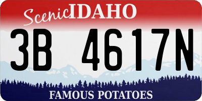 ID license plate 3B4617N