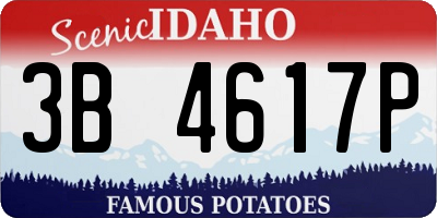 ID license plate 3B4617P