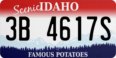 ID license plate 3B4617S