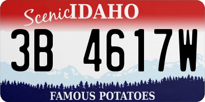 ID license plate 3B4617W