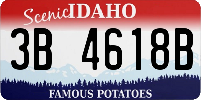 ID license plate 3B4618B