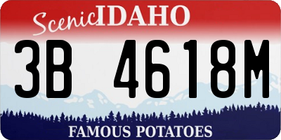 ID license plate 3B4618M