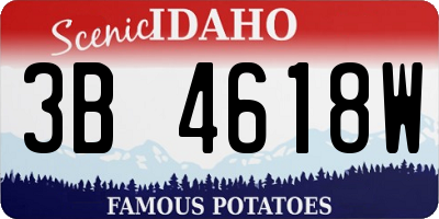 ID license plate 3B4618W