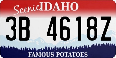 ID license plate 3B4618Z