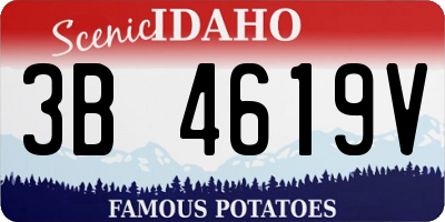 ID license plate 3B4619V