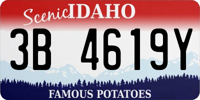 ID license plate 3B4619Y