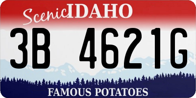 ID license plate 3B4621G
