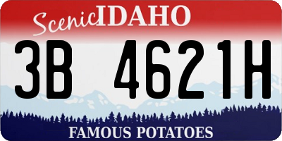 ID license plate 3B4621H