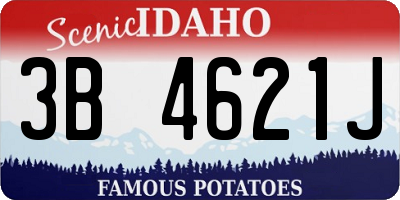 ID license plate 3B4621J