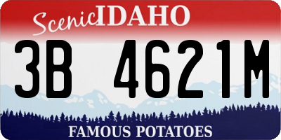 ID license plate 3B4621M