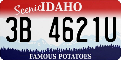 ID license plate 3B4621U