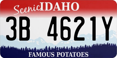 ID license plate 3B4621Y