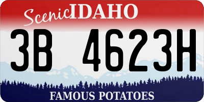 ID license plate 3B4623H