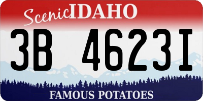 ID license plate 3B4623I