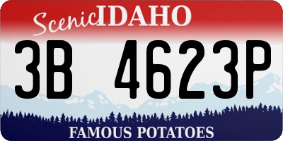ID license plate 3B4623P