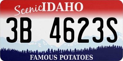 ID license plate 3B4623S
