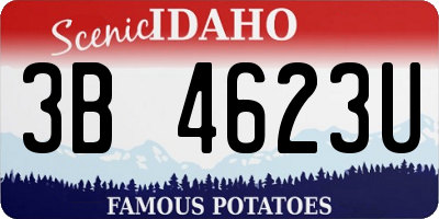 ID license plate 3B4623U