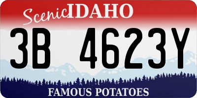 ID license plate 3B4623Y