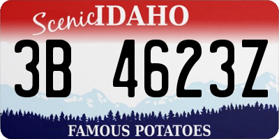 ID license plate 3B4623Z