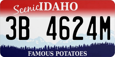 ID license plate 3B4624M