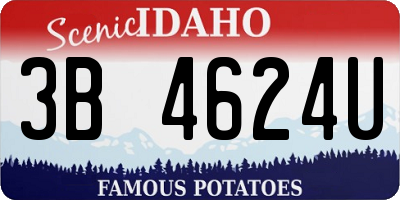ID license plate 3B4624U