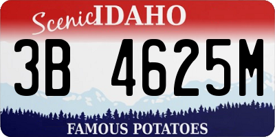 ID license plate 3B4625M