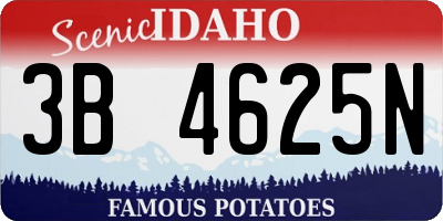 ID license plate 3B4625N