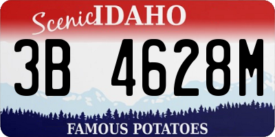 ID license plate 3B4628M