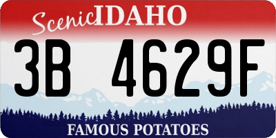 ID license plate 3B4629F
