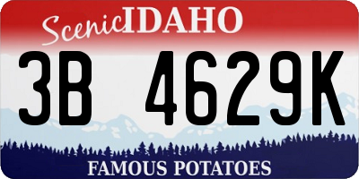 ID license plate 3B4629K
