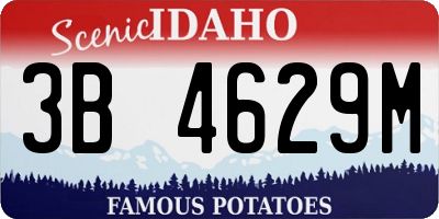 ID license plate 3B4629M