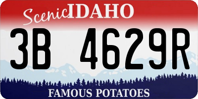 ID license plate 3B4629R