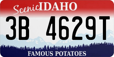 ID license plate 3B4629T
