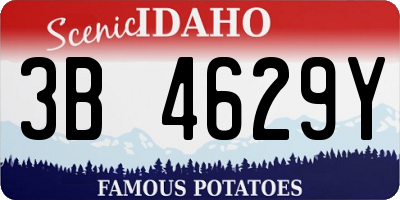 ID license plate 3B4629Y