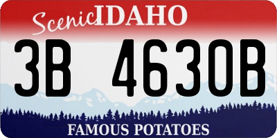 ID license plate 3B4630B