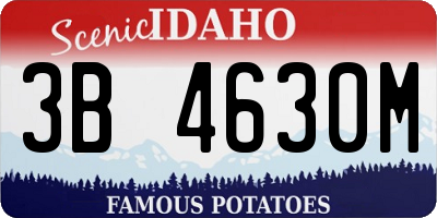 ID license plate 3B4630M