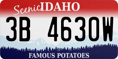 ID license plate 3B4630W