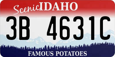 ID license plate 3B4631C