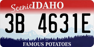 ID license plate 3B4631E