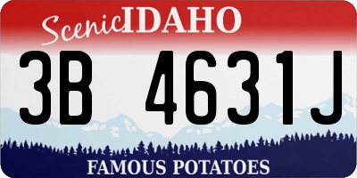 ID license plate 3B4631J
