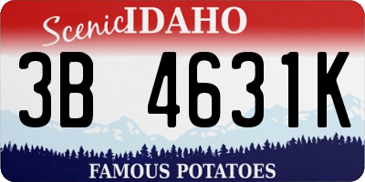 ID license plate 3B4631K