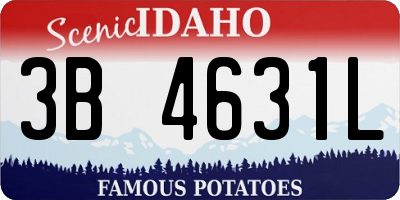 ID license plate 3B4631L