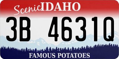 ID license plate 3B4631Q