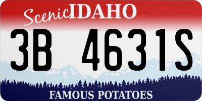 ID license plate 3B4631S